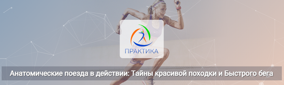 [Анна Щербина] Анатомические поезда в действии_ та_0.png